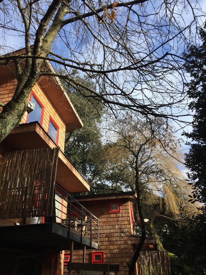 Almabosque Cabanas Puerto Varas Exterior photo